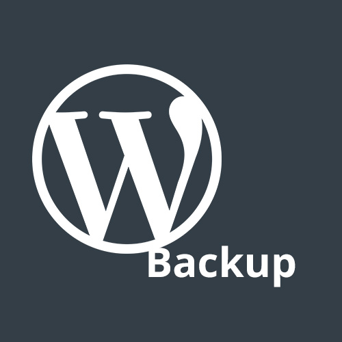 Die 5 besten Backup Plugins für WordPress