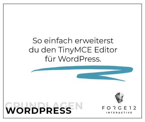 So einfach erweiterst du den TinyMCE Editor für WordPress.
